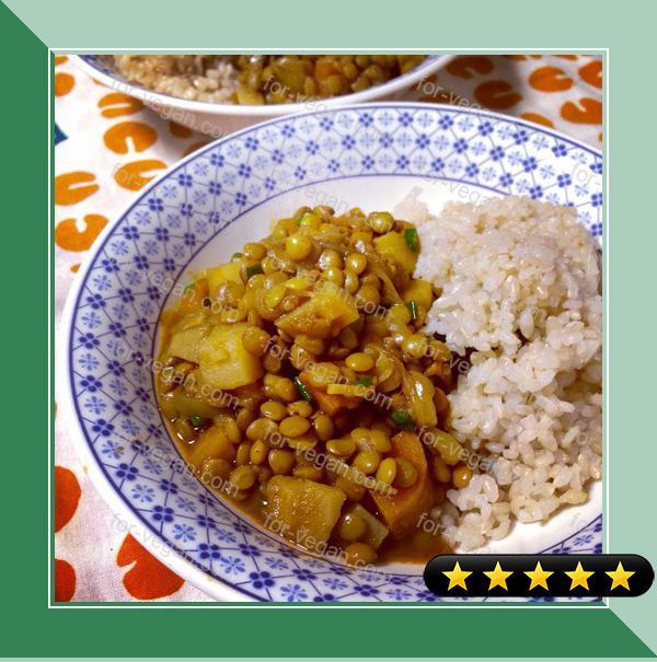 Vegetarian Lentil Curry recipe
