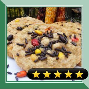 Sunflower Oatmeal Cookies recipe