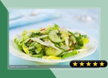 Celery, Cucumber, Fennel and Radish Salad with Vinaigrette recipe