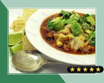 Spicy Southwest Soup recipe