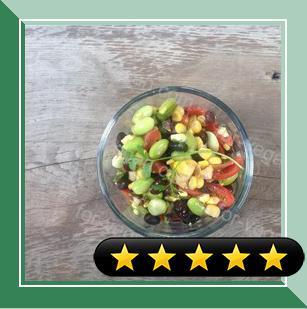 Healthy Garden Salad recipe