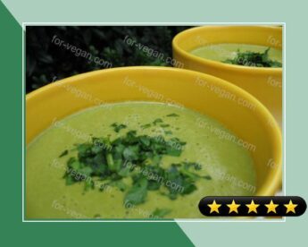 Vegan Cream of Spinach Soup recipe