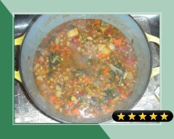 Lentil Soup With Swiss Chard recipe