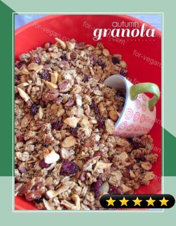 Homemade Autumn Granola recipe