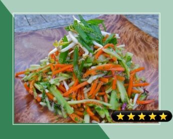 Vegan Carrot Broccoli and Bean Shoot Salad recipe