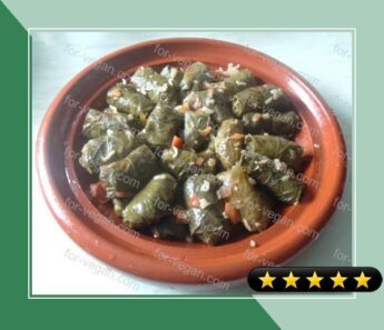 Dolma Dalya - Algerian Tomato & Pepper Stuffed Vine Leaves recipe