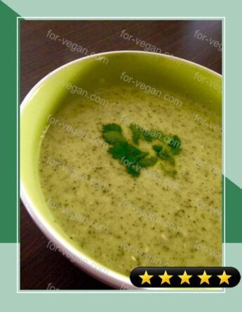 Vegan Cream of Coriander (Cilantro) Soup recipe