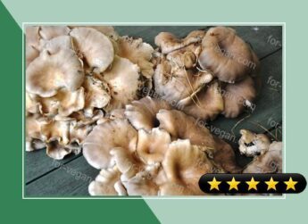 Sauteed Oyster Mushrooms recipe