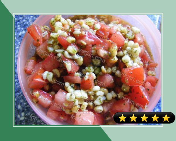 Grilled Corn, Avocado and Tomato Salad recipe