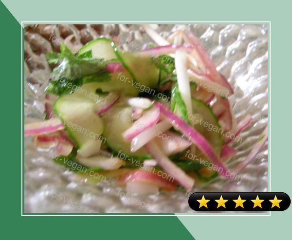 Cucumber, Bean Sprout and Red Onion Salad recipe