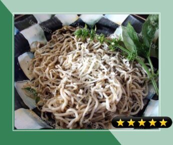 Easy Pesto Shirataki Noodles recipe