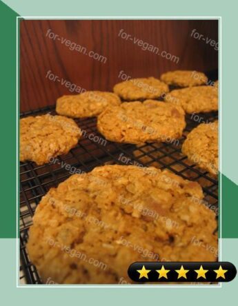Oatmeal Barley Cookies (Wheat Free) recipe