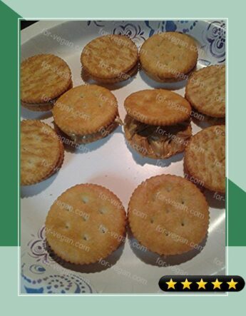 Skye's Snack Crackers recipe