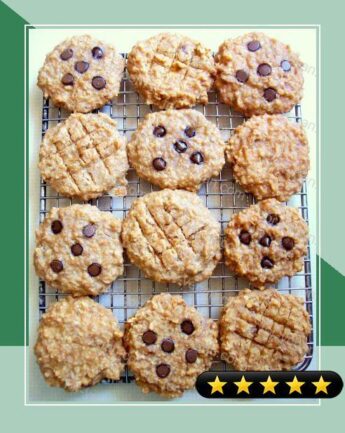 Peanut Butter Banana Oat Breakfast Cookies with Carob/Chocolate Chips recipe