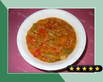 Italian Lentil & Vegetable Stew (Crock Pot) recipe