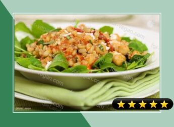 Arugula, Chickpea and Wheat Berry Salad recipe