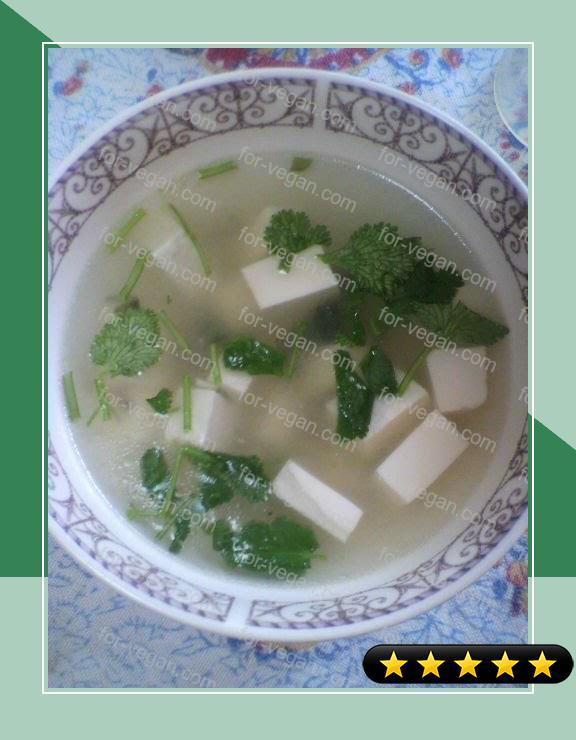 Authentic Chinese Cilantro Tofu Soup recipe