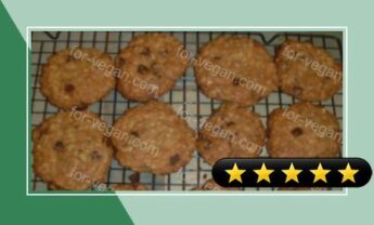 Dairy Free Lactation Cookies recipe